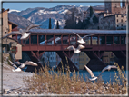 foto Lungo il Fiume Brenta